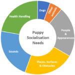 socialisation for preschool puppies socialisation theme pie graph