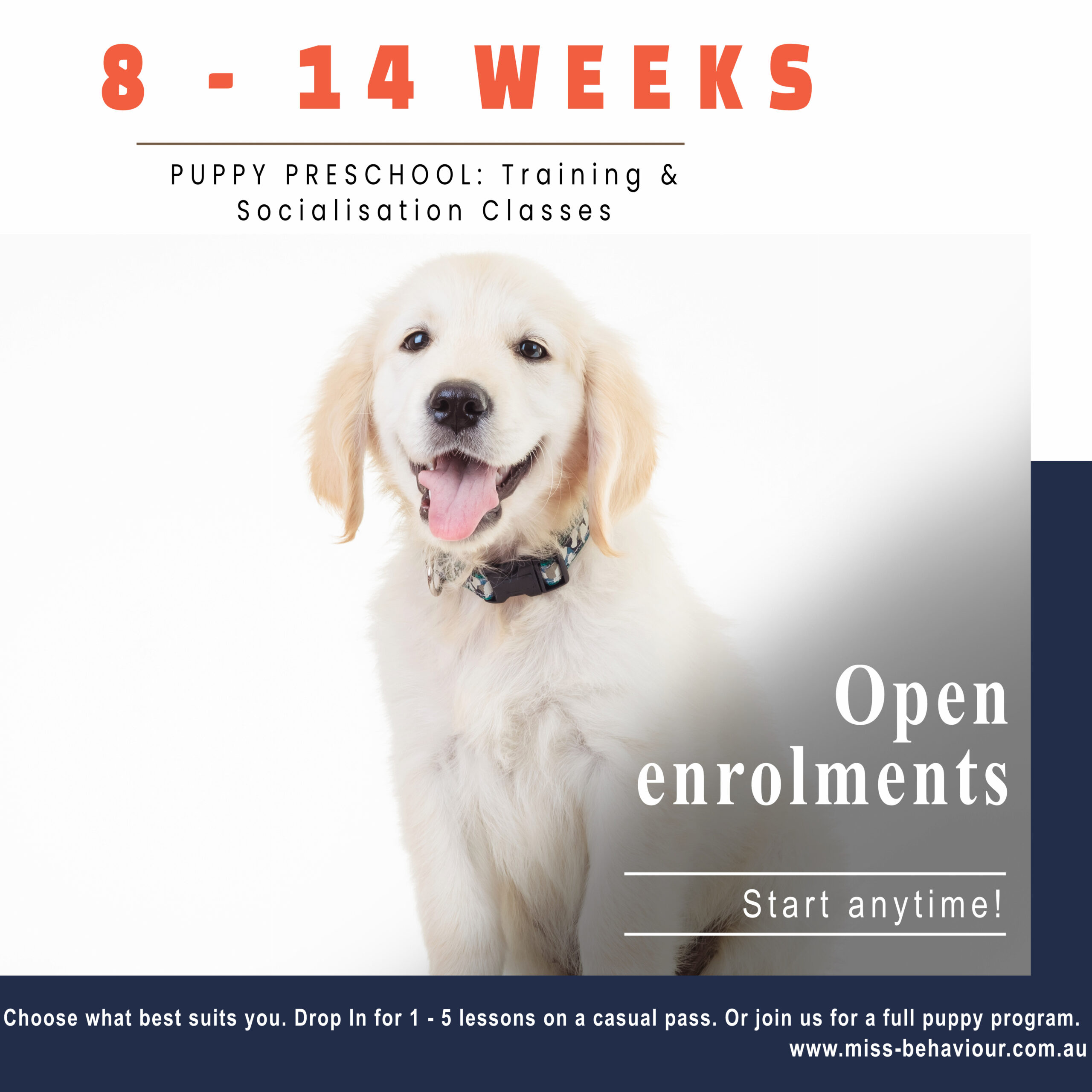 Puppy Preschool - Miss Behaviour Dog Training Services